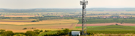 Telecoms & Utilities